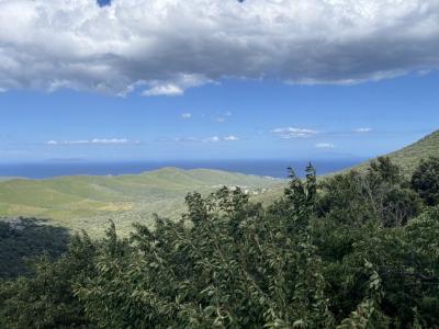 For sale Sisco 5 rooms 66 m2 Corse (20233) photo 4