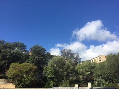 Acheter Appartement 56 m2 Bastia