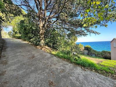 Acheter Prestige 235 m2 Cagnano