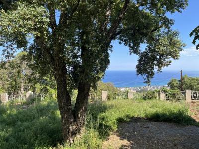 Annonce Vente Terrain Bastia 20