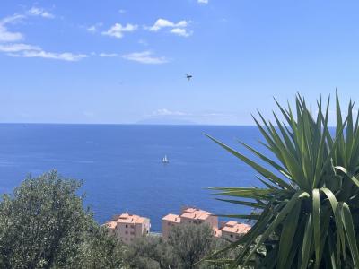 Annonce Vente 4 pi�ces Appartement Bastia 20