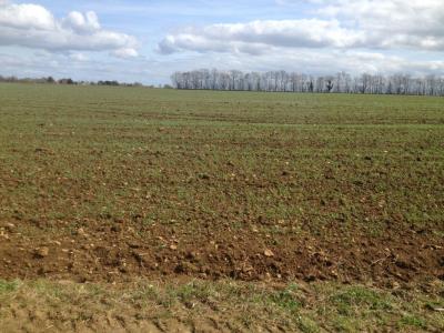 For sale Chicheboville 478 m2 Calvados (14370) photo 0