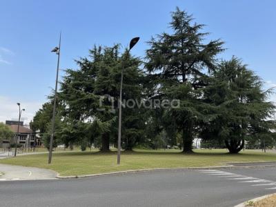 Acheter Maison Pau 313000 euros