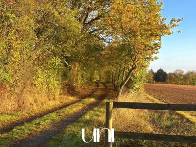 Acheter Terrain Bavent Calvados