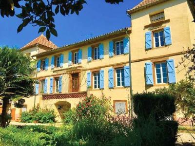 Annonce Vente Prestige Lisle-sur-tarn 81