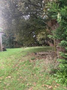 Acheter Maison Teich Gironde