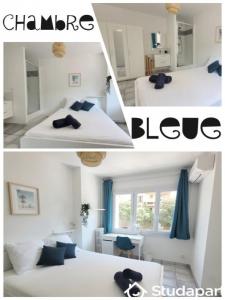 Louer Appartement Toulon Var