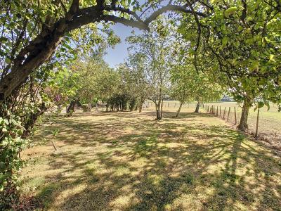 Annonce Vente 6 pi�ces Maison Marciac 32