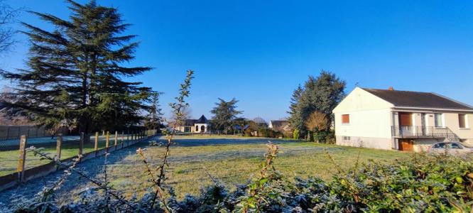 Annonce Vente Terrain Ecouflant 49