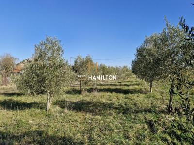 Acheter Prestige Cordes-sur-ciel 350000 euros