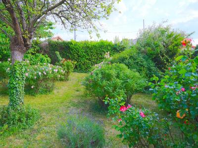 Acheter Maison 75 m2 Brunoy