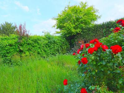 Acheter Maison Brunoy Essonne