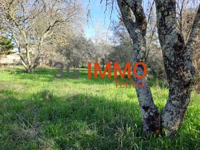 Annonce Vente Terrain Saint-maximin 30