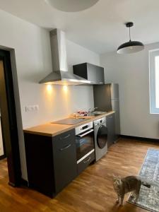 Annonce Location Appartement Limoges 87
