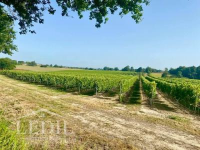 For sale Castelnau-d'auzan 1 room 32767 m2 Gers (32440) photo 1