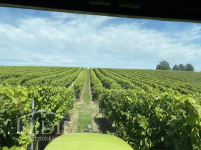 For sale Castelnau-d'auzan 1 room 32767 m2 Gers (32440) photo 2