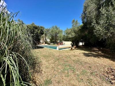 Acheter Maison Cournonterral Herault