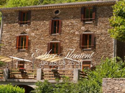 For sale Saint-jean-du-gard 9 rooms 337 m2 Gard (30270) photo 1