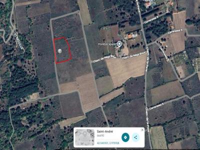 Annonce Vente Terrain Palau-del-vidre 66