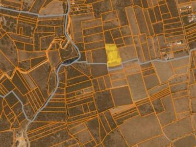 Acheter Terrain Palau-del-vidre Pyrenees orientales