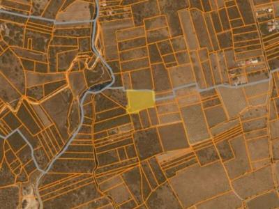 Acheter Terrain Palau-del-vidre Pyrenees orientales