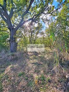 Annonce Vente Terrain Ortaffa 66