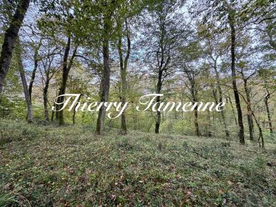 For sale Barbaste 32767 m2 Lot et garonne (47230) photo 0