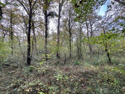 Annonce Vente Terrain Barbaste 47