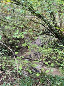 Acheter Terrain Barbaste Lot et garonne