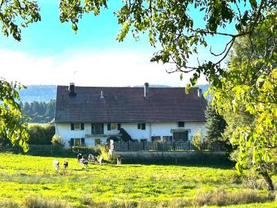 Annonce Vente 6 pi�ces Maison Grande-riviere 39