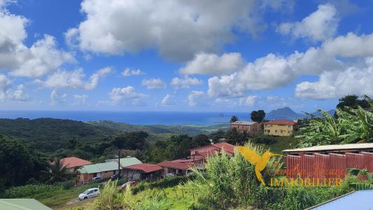 Acheter Maison Sainte-luce Martinique