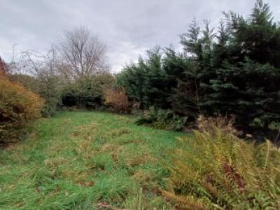 Acheter Maison Nieppe Nord