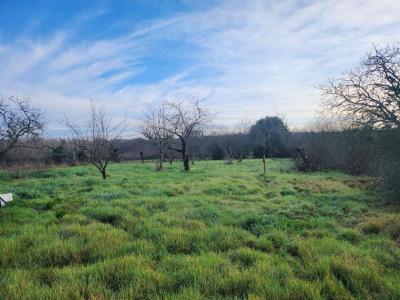 Acheter Terrain 1646 m2 Pugnac