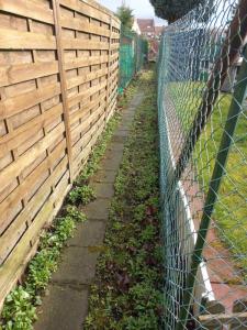 Acheter Maison Carvin 55000 euros