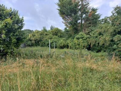 Acheter Maison Benifontaine 110000 euros