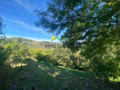 Acheter Maison 50 m2 Chazeaux