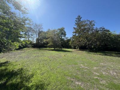 For sale Landiras 4 rooms 105 m2 Gironde (33720) photo 4