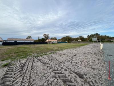 Annonce Vente Terrain Saint-magne 33