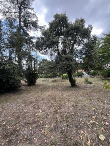 Acheter Maison Cadaujac 328900 euros