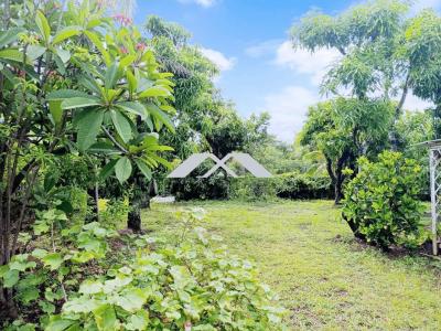 Annonce Vente 7 pi�ces Maison Saint-louis 974