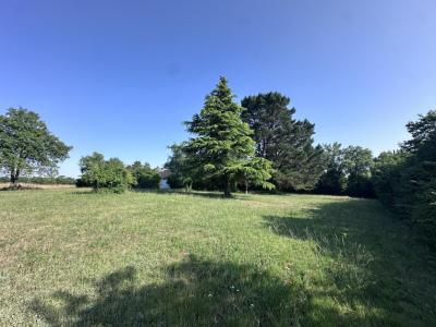 For sale Sorinieres 5 rooms 110 m2 Loire atlantique (44840) photo 2