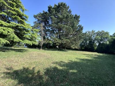 For sale Sorinieres 5 rooms 110 m2 Loire atlantique (44840) photo 3