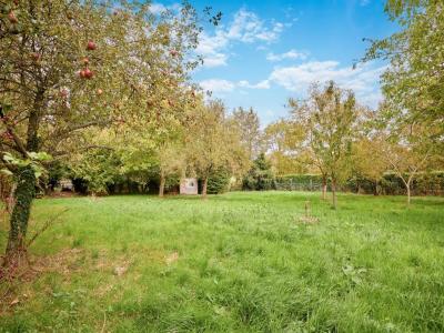 Annonce Vente 8 pi�ces Maison Formentin 14