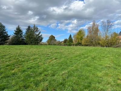 For sale Cantal (15500) photo 1