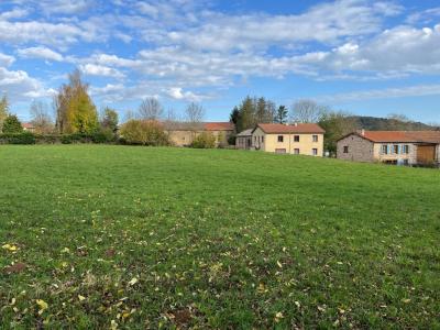 For sale Cantal (15500) photo 2