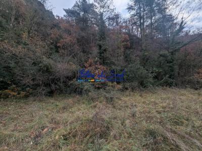 For sale Vernet-les-bains 9160 m2 Pyrenees orientales (66820) photo 4