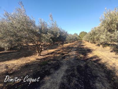 For sale Pouzolles 3300 m2 Herault (34480) photo 0