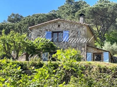 For sale Lasalle 2 rooms 32 m2 Gard (30460) photo 1