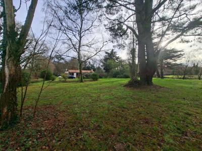 For sale Saint-gervais 3 rooms 78 m2 Vendee (85230) photo 3