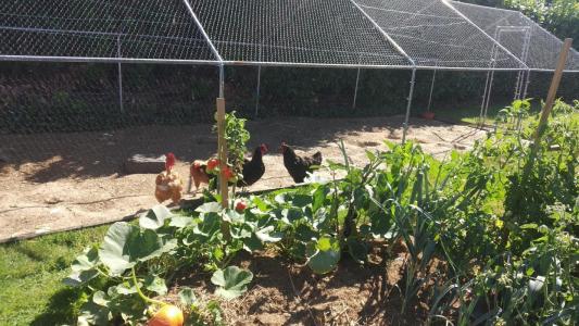 Acheter Maison Moyon 275000 euros